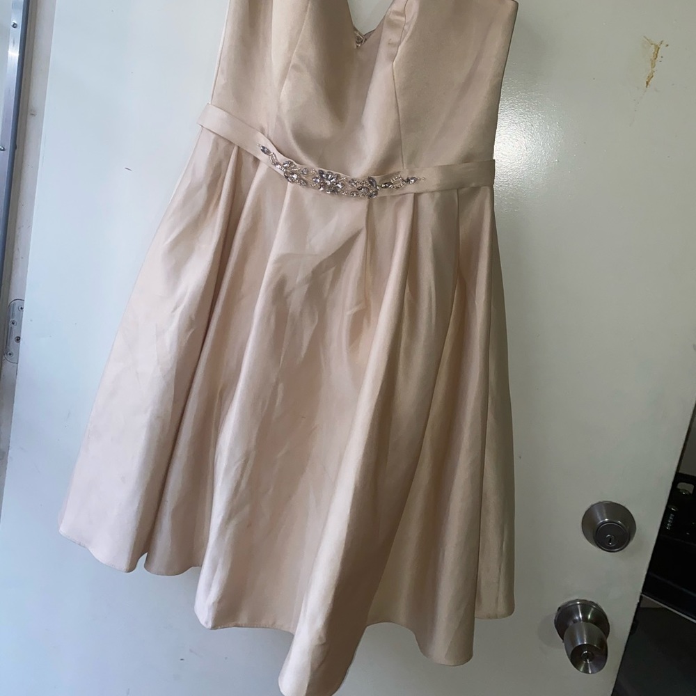 Plain Champagne mini/dama dress